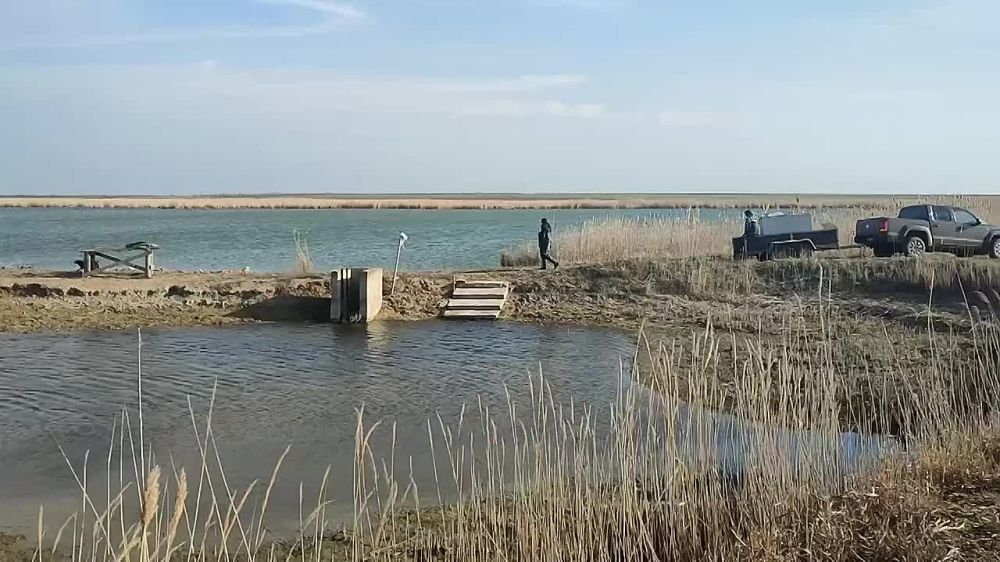 � ���������� ������� ������������ ����� ���������� ���������� ��������