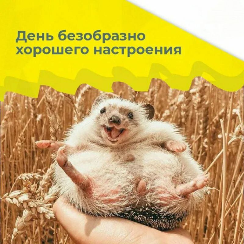 ��������� 14 �����. ������������� ���� ����� ��� ������������� ���� ��� ������������� ���� �������� ���� �������� ������ ���� ���������� �������� ���������� �� ��������� ���������: ������� ��������. ������ �����....