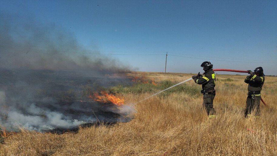 В Херсонской области за сутки выгорело 620 квадратов сухостоя