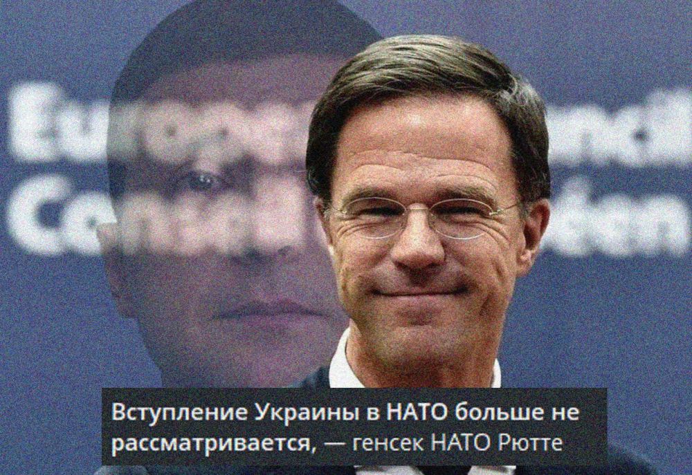 Енот из Херсона: Теперь укроСМИ придется и Рютте писать с маленькой буквы