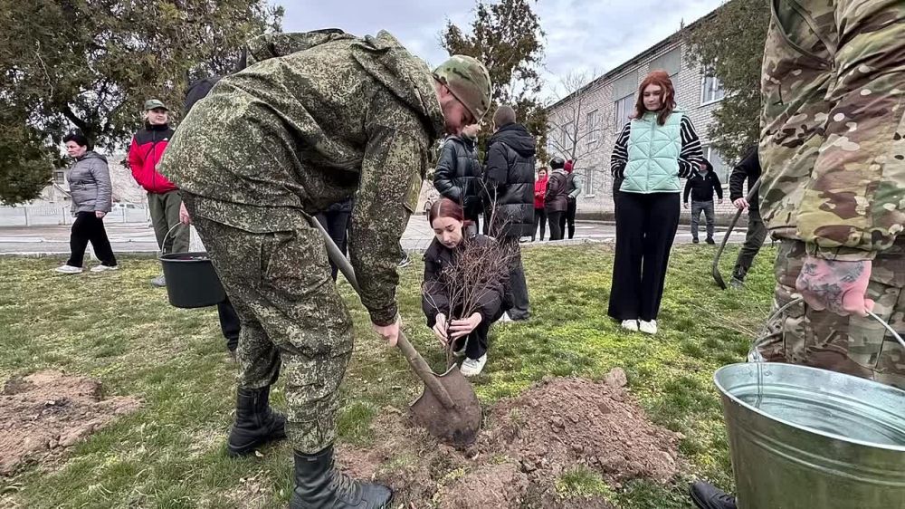 � ��������� ������������ ������� �� �������-���������� ����������� � �������� ����� �������� �������