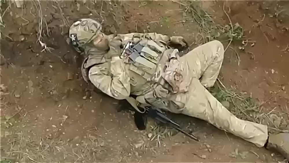 ���� �������: ���� ������ �������� �� ������� � ��������������