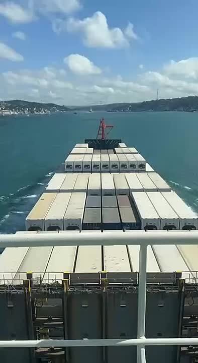 #��������. ����� �������������: ������ �����������, ��������� ���������� ��������������� ������� ��������