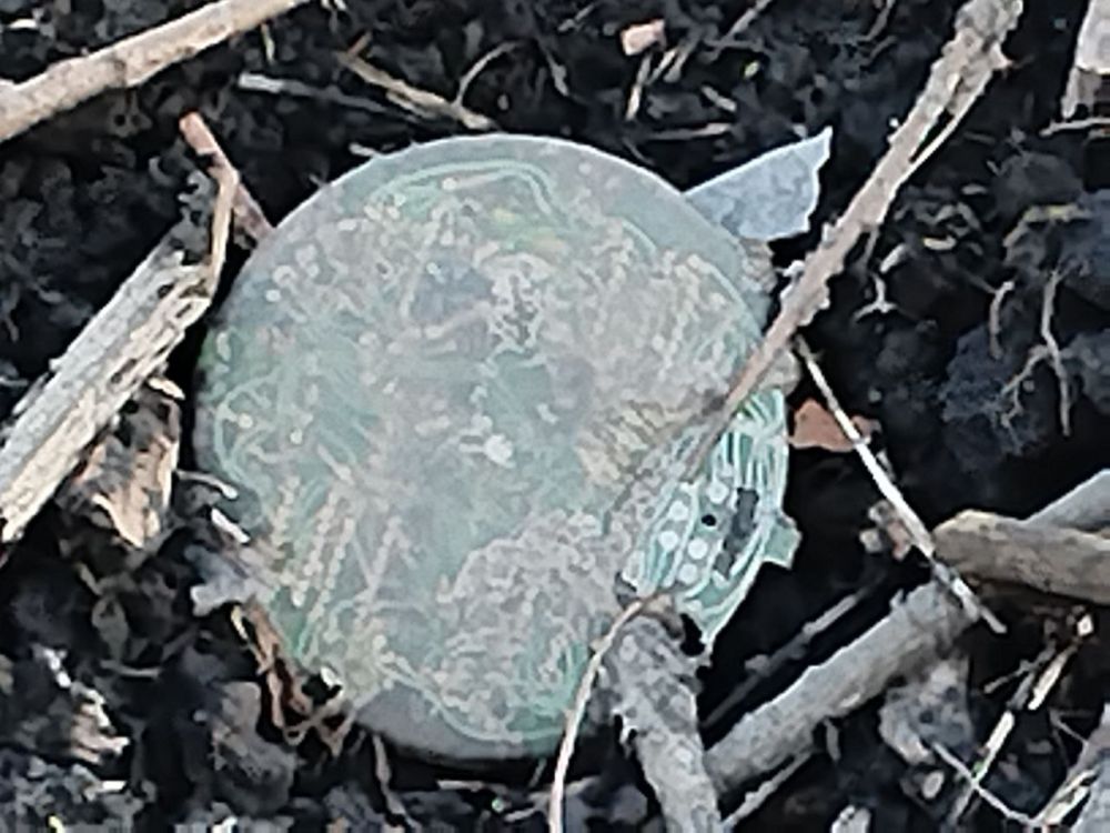 ��� ������, ����������� �� ������� �����������