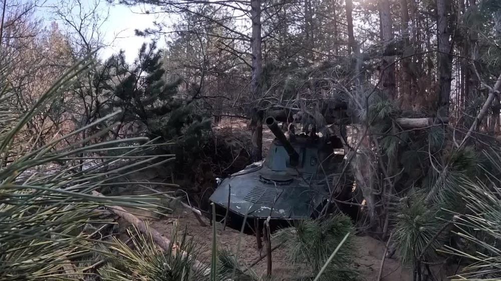 �������� ������: ��� �����-ѻ ���������� ������ ������ ���������� �� ������ ������ ������