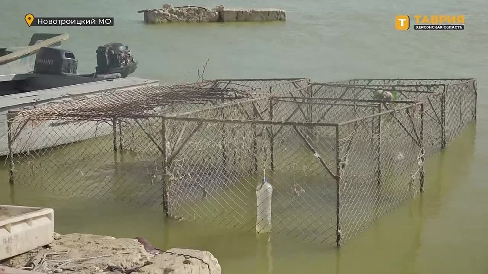 ���������� ��������� ���������� ������� ������ ���������� ����� ������