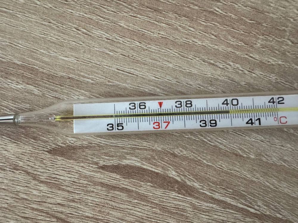 ����� ��������: �������. ������ � ����� ����� �����