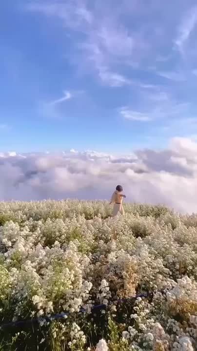 ��������� �������� ����������