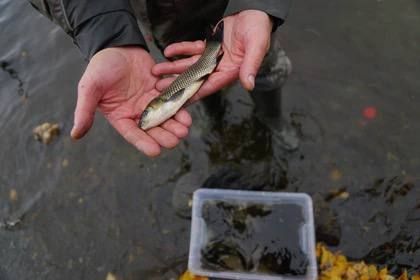 � ������� ���������� ��������� 160 ����� ������� �����