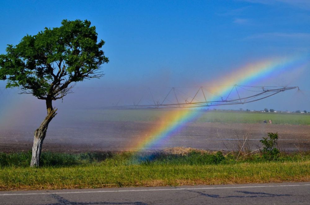 � ������ ������������ �������� �����, ��������� ����������, ��������� �� ��������� ����������� �������������� ������