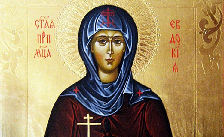 14 ����� �������� ���� ������ ����������� �������� ������� ������������