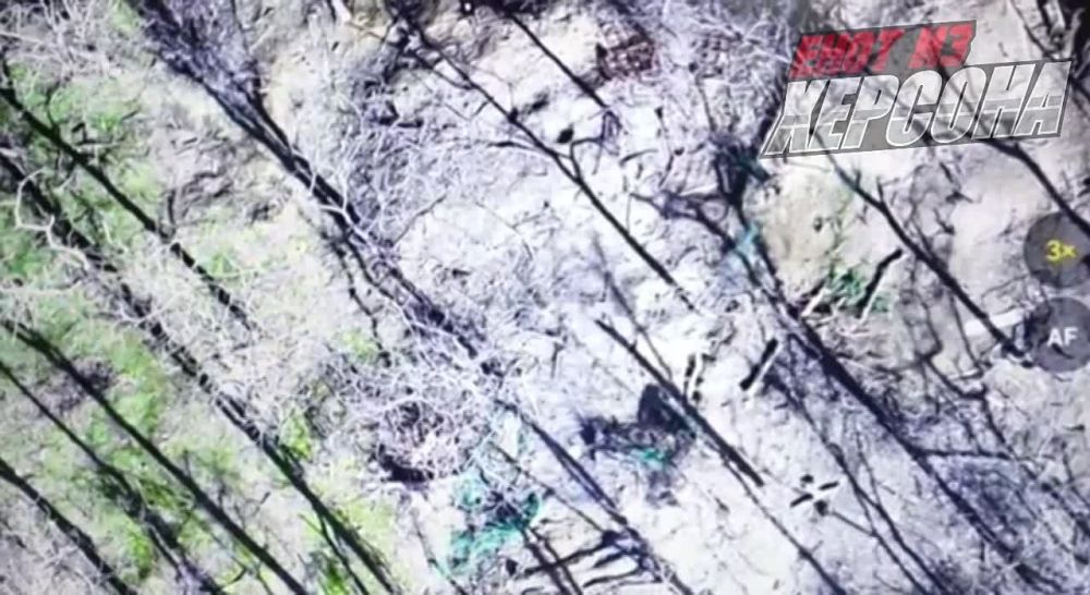 ���� �� �������: ����� ������ ������� �� ������ ���������� ���������� �� ��������� � ��� ���������� ������