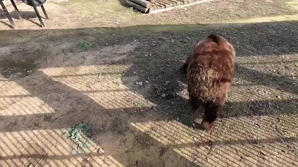 #* Подборка интересных новостей из регионов к этому часу: