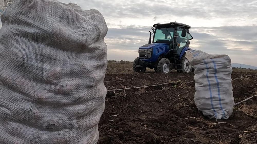 � ����� ������ ���������� ����� 200 ����� ���� ���������, ����� ������� ����������� � ��������