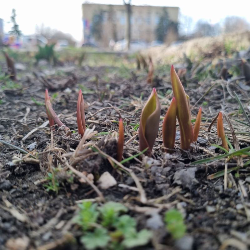 ������ ����� ������� ���������� � ����� ���� � ���������� ��������� � ������