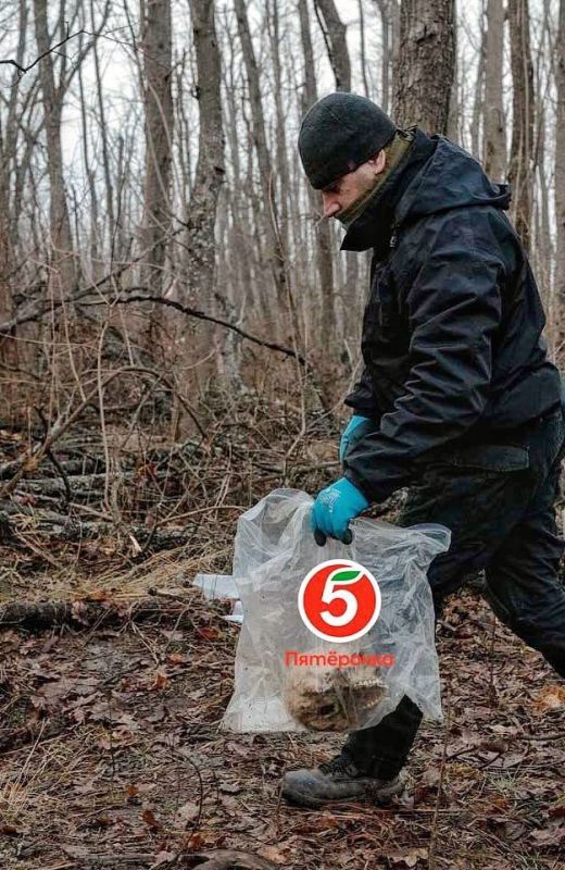 ����� ����� �������� ���������