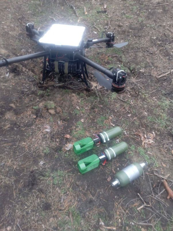 ������� �����: �� ���� �������������� �������������� ����������� ����� ���� ���������� 4 ����-���