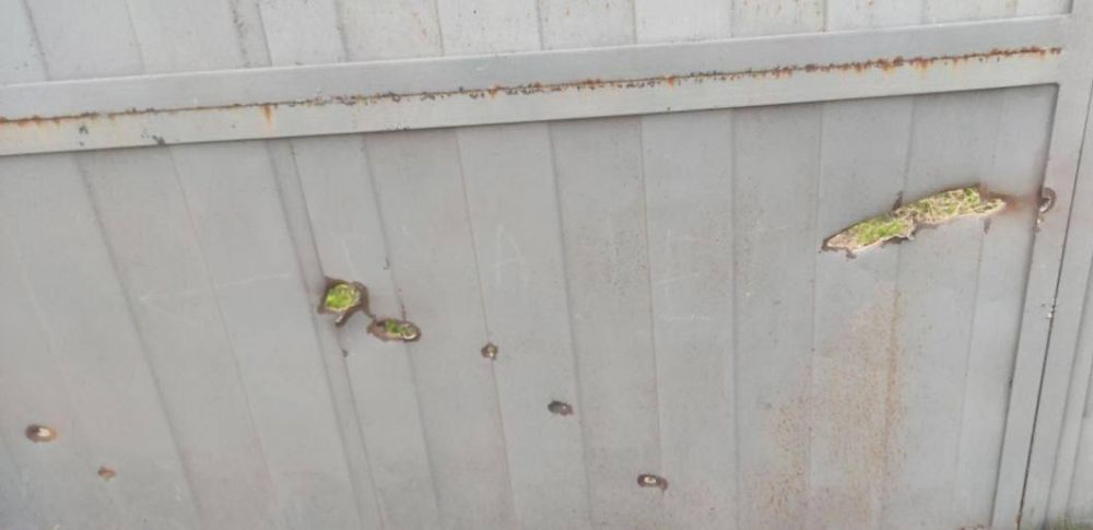 Владимир Сальдо: В минувшие сутки боевики вооружённых формирований киевского режима обстреливали и атаковали дронами Алешки, Каховку, Новую Каховку, Скадовск, Горностаевку, Днепряны, Корсунку, Малую Лепетиху, Новую Маячку...