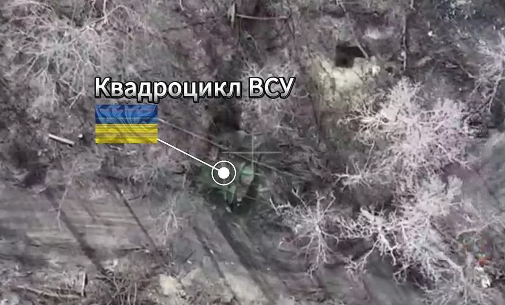 ���� �� �������: ���� ����� - ���� ����������: ������ ���� 41 ��� 72 ��� ����� �������� ������������!