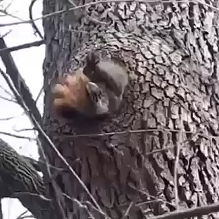 ��� � ��� ������� ����? ���������� � ���, ����� �������� ������� ������ �������� ������ ����������? � ���� ��, �� ��� ����������� ��� ������? ���������� ��������� ��������