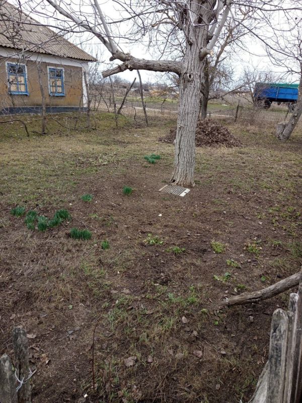 ���������� ��� ������� ������ ���������� ���������� �������� ������� ������������� �����