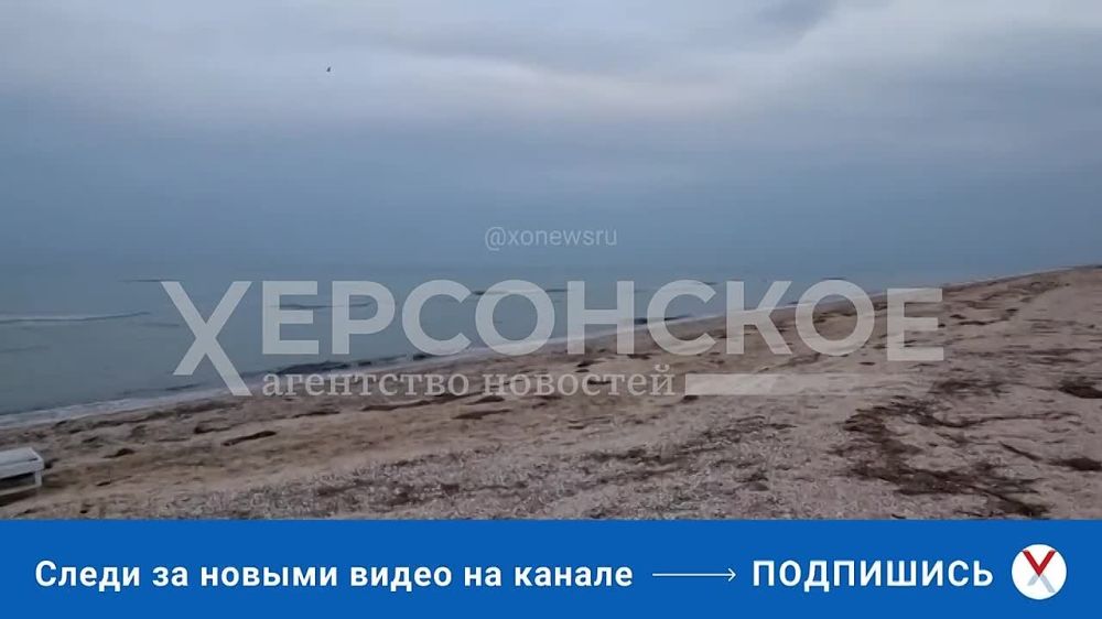 ���������� �������� ��������� ������ ������� ������ �� ���������� �������