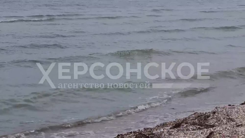 �� �������� ����� ��������� ���������� ������� �������� �������� ������