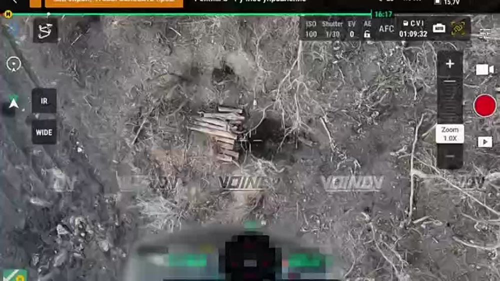 ���� �� �������: ��������� ���� 29-� ����� ����������� "������" ��������� ���������� �� ������ ��� �������� � ������