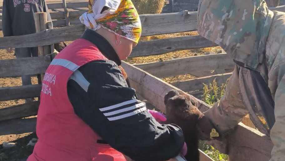 �� ��������� ������������ ������ ���������� ������� �������� 300 ��� ������