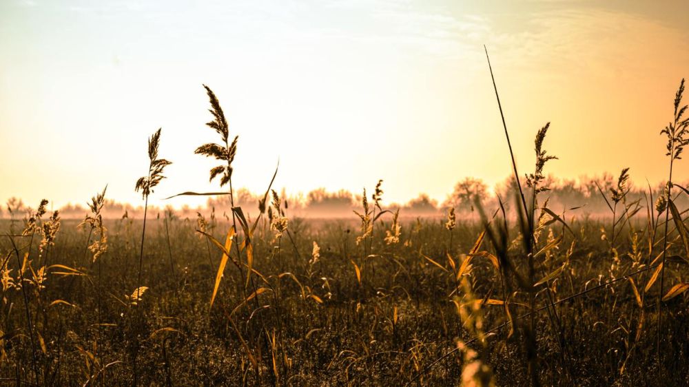 �������� ������: �� ���������� �������� �����