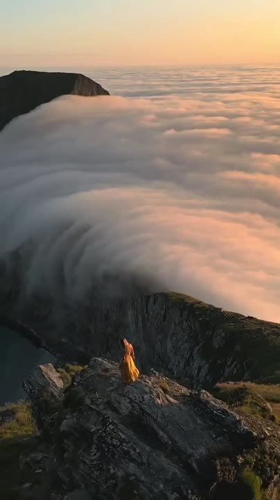 �������� ����������