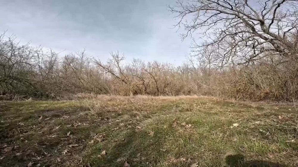 ���� �� �������: ���������� ������� ���������� ��������� � ���� �� ����������� �����������