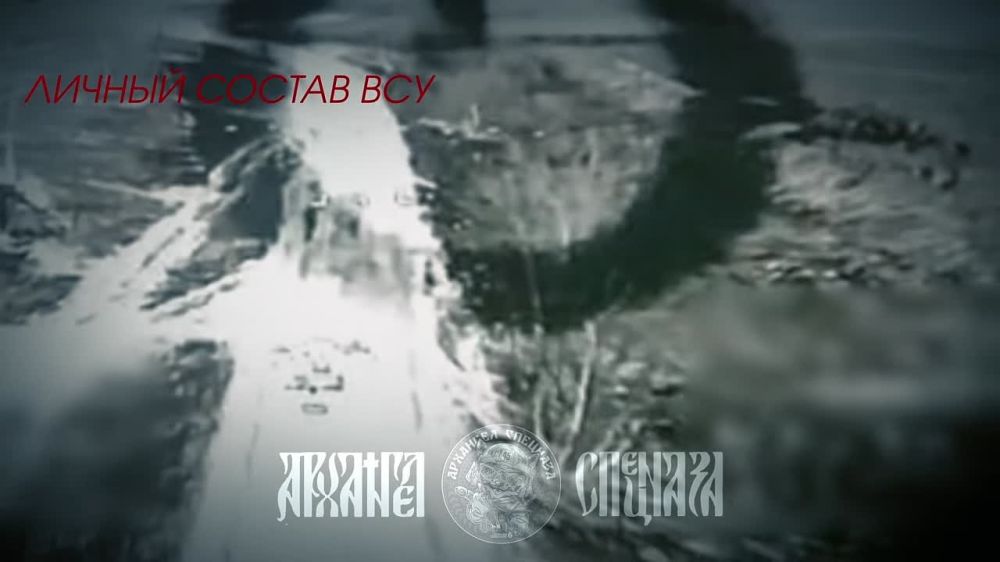 ���� �� �������: ������ � ������ �� ������� �����������