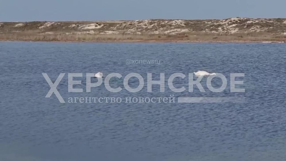 ������� � ���������. ����������� ������ ��������� �������� �� ������ �����. ��� ������ ��������, � ������������, ������ �����, ��� �������� ������ ����� ����������� �������