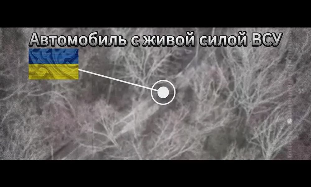 ���� �� �������: ����� � ����: ������ ��� 41 ��� 72 ��� ��������� ��������� ��������� ������������!