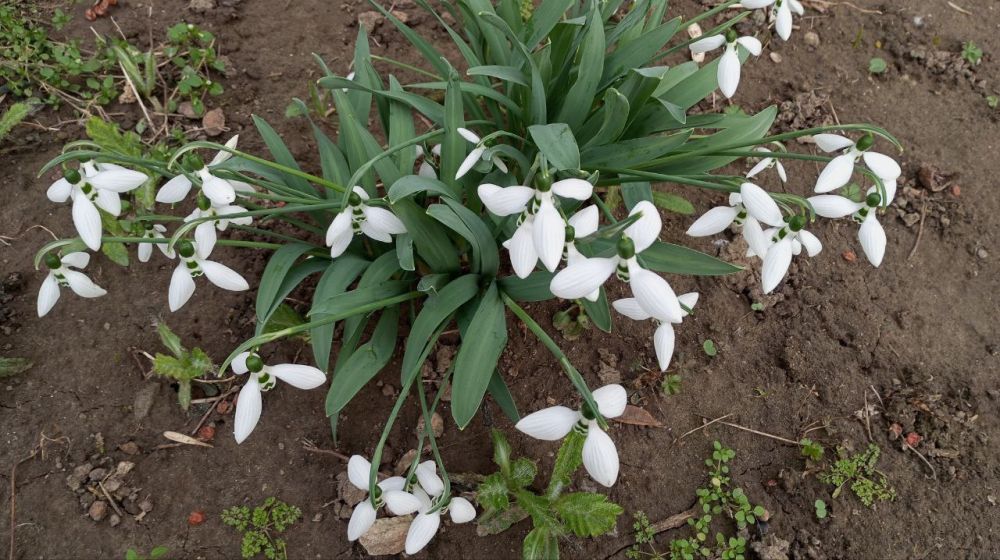 � �� ������ ��������� �� ��� ��������? ��������, ��� ��. ������ ��� ������� ��� ��� ����� ������, ������ ��� � �����!