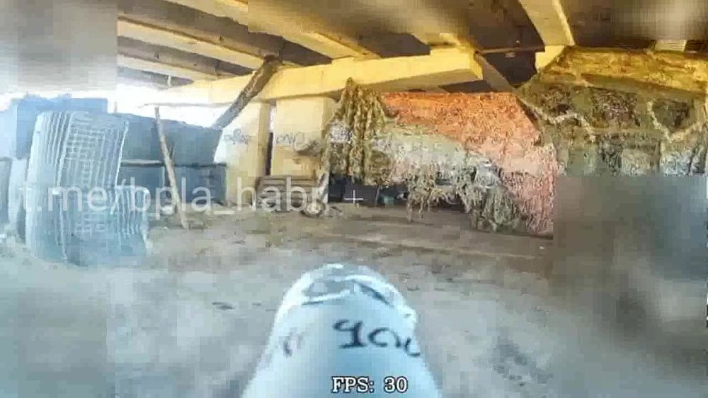 ���������� �����������