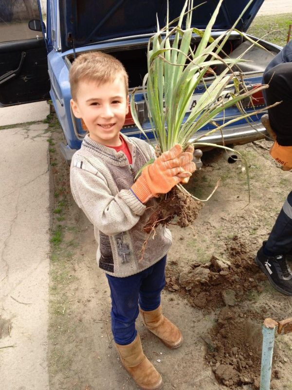 � ������������ ������ �������� ���������