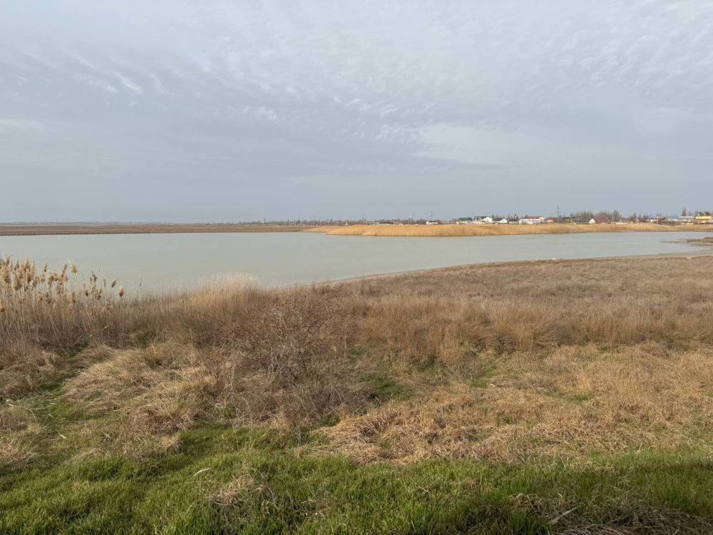 ***. ������, ������� � �������!