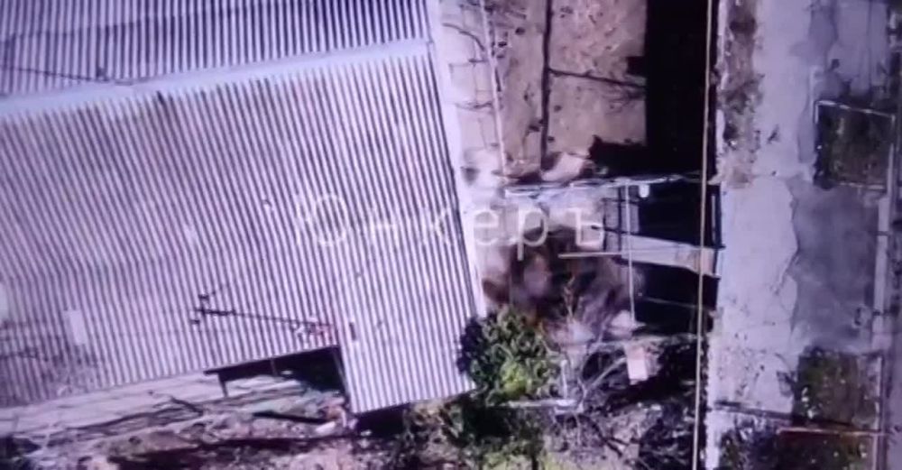 ������ ������ � "������� ����" �������