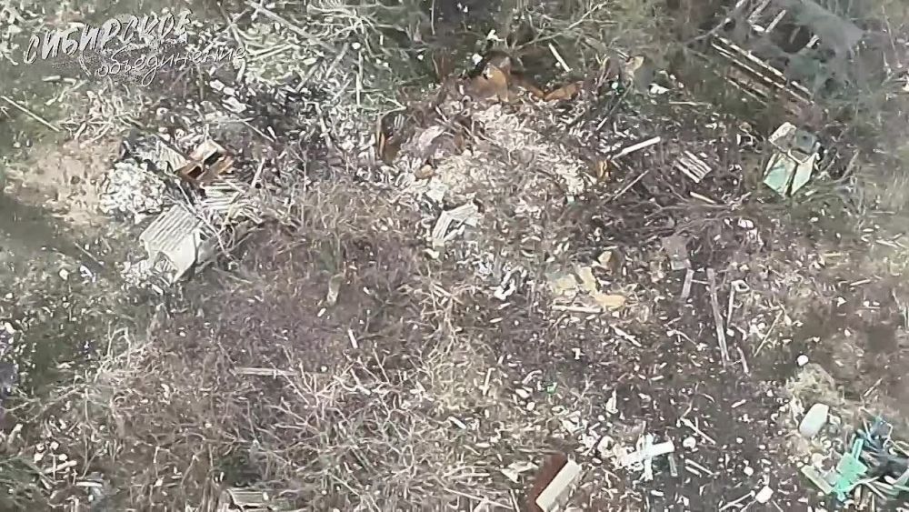 ��������� ���� HYENA GROUP ���������� ������� 155 ���� ��� � ����������, ����� ���� �������� ���������� ��������