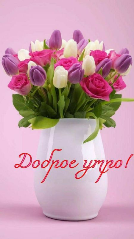 ��������� 17 �����. ���� ������� ������� ���� �������� ����� ���� ������ ������������ ����� ������� ����������� ���� ��������� ����� �� ��������� ���������: ������� ���������. �� �������� �������, � ���� ���� ������...