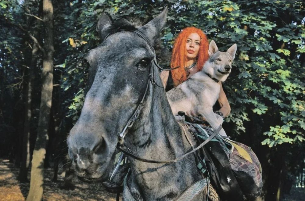 ���������� ������������ � �������� �� ���