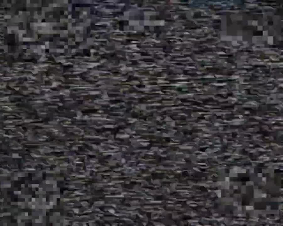 ���� �� �������: ������. ������� ����.. ������ ������ ���� �� ������� 18 �� �� "�����" �� ����������� ������� �� ������ ������. �������� ������