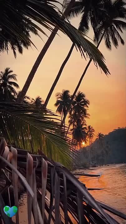 �� �� �������� �������. �� ����� ������ ������, ��� ���� � �� �������, ������� ������� ���