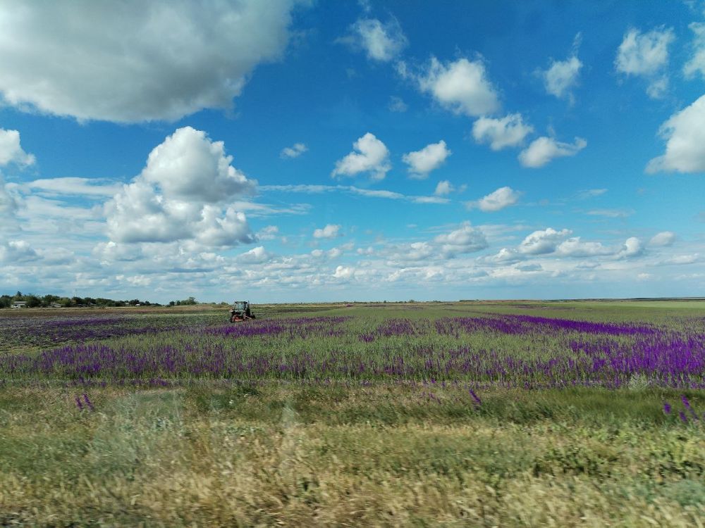 � ������ ������������ �������� �����, ��������� ���������� ���������� ���� �������