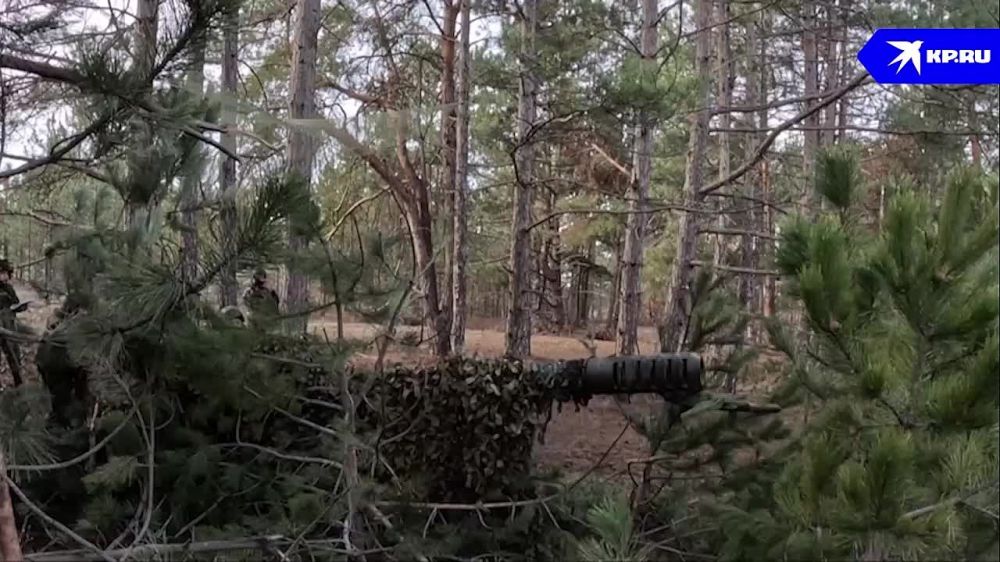 ���������� �� �� ���������� ��������������� � ������������ ����� �������