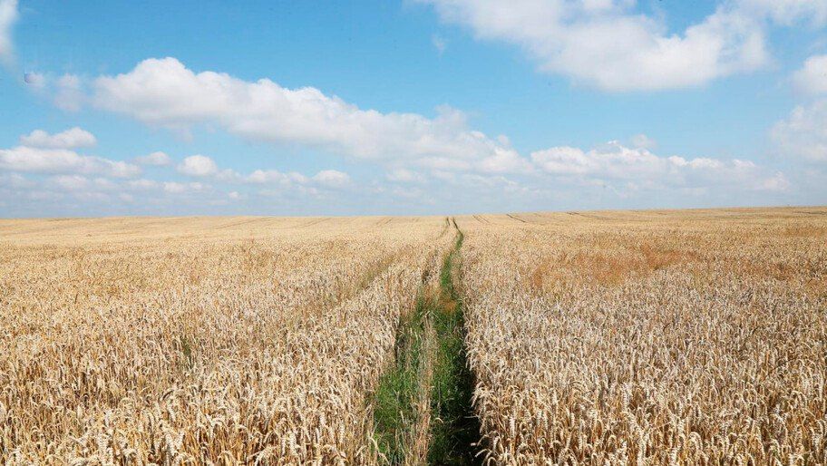 ������� ���������� ������� � ������ �������� ��� ������� ����� 65 ���