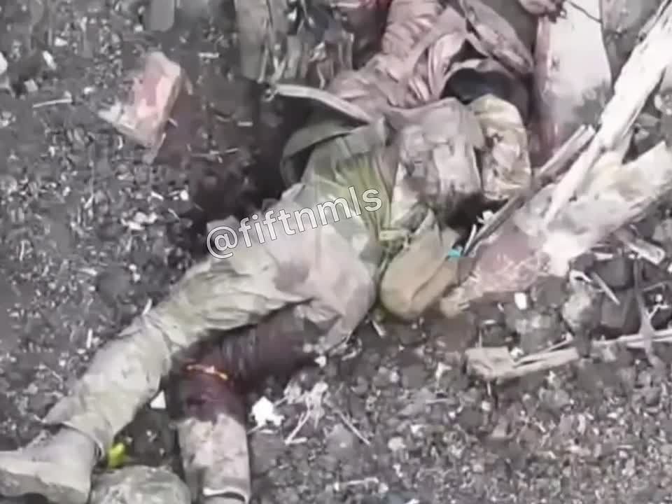 ���� ����� �������� ������ � ��� ���� � ����