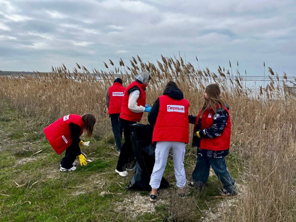 �������� ������: ��������� �������� ������ ������ � ����������������� ��������������� ����� ������� ��������� �� ������ �������� �����